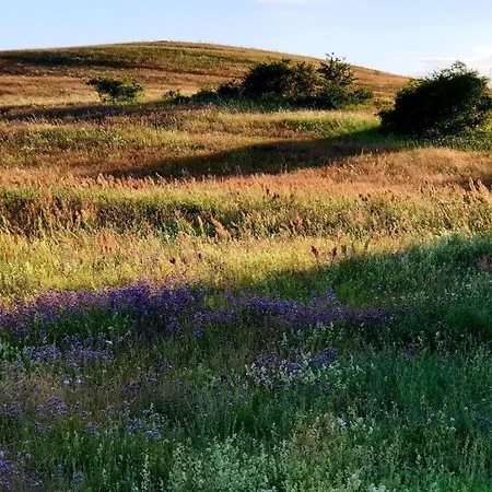 Insel Seaside Prázdninový dům *