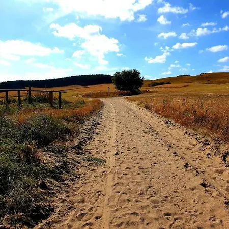 Insel Seaside Prázdninový dům Gager