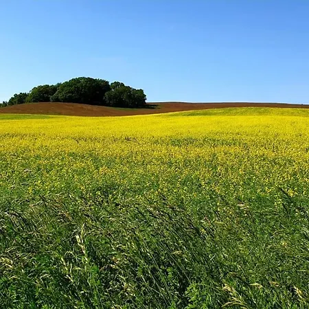 Insel Seaside Prázdninový dům Gager